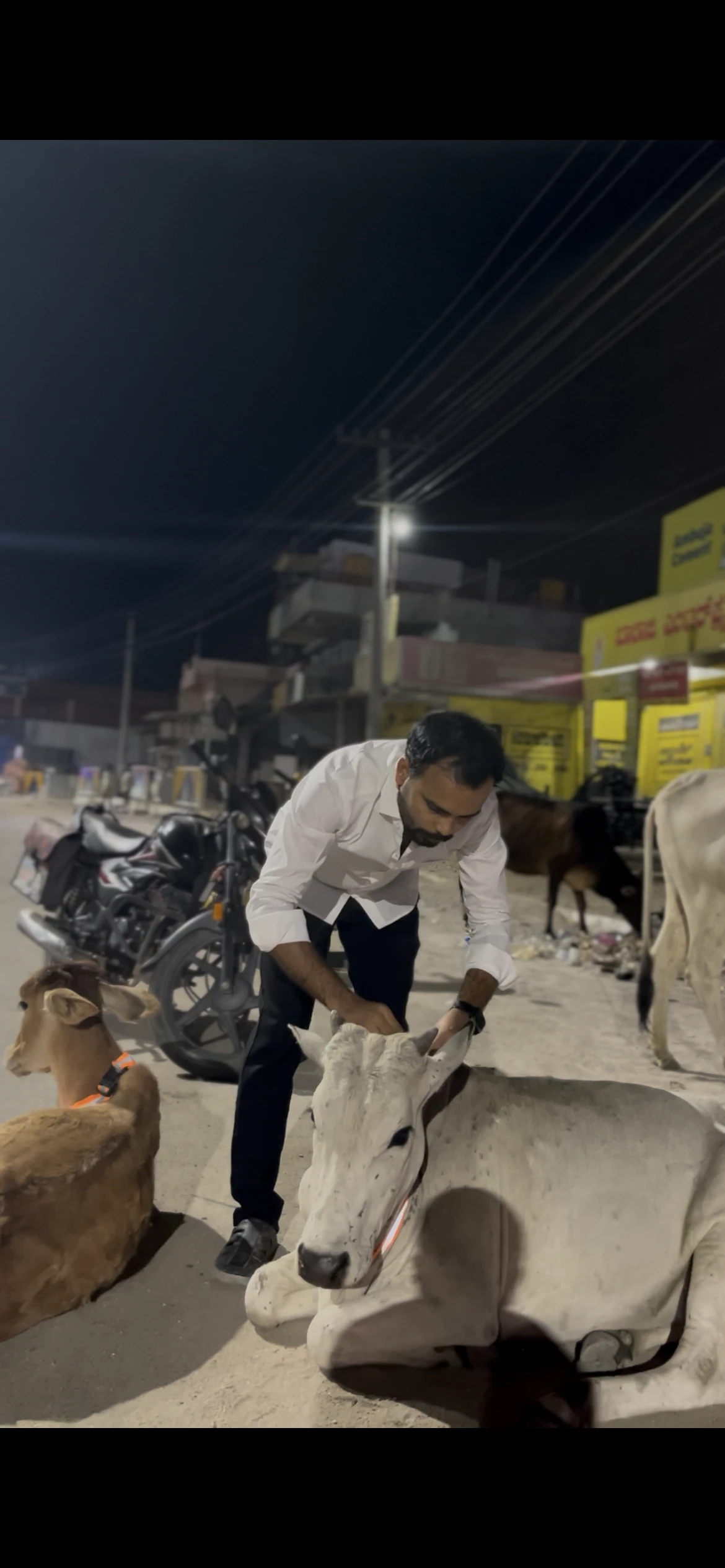 news_1791893996_0_631.webp