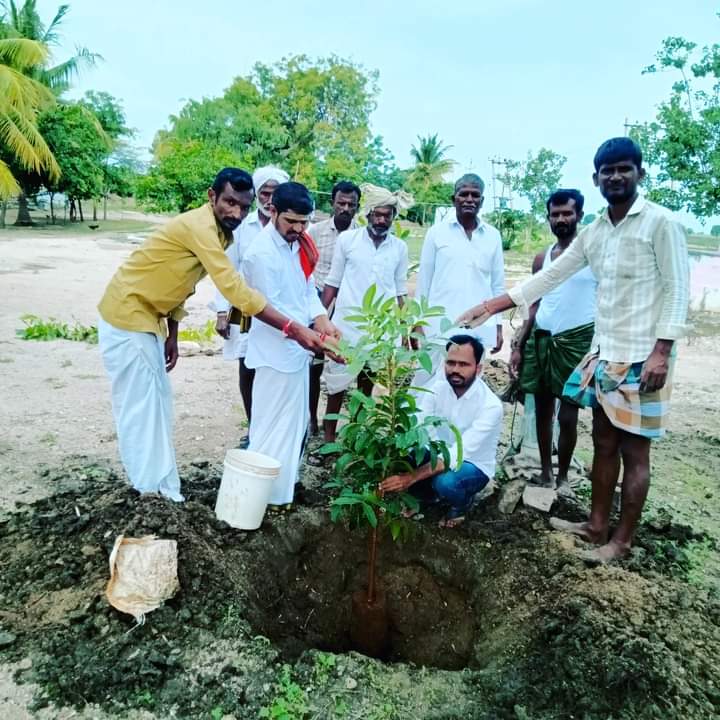 ಶ್ರೀ ಕಟ್ಟೆ ಬಸವಲಿಂಗೇಶವರ ದೇವಸ್ಥಾನದಲ್ಲಿ ವಿಶ್ವ ಪರಿಸರ ದಿನಾಚರಣೆ