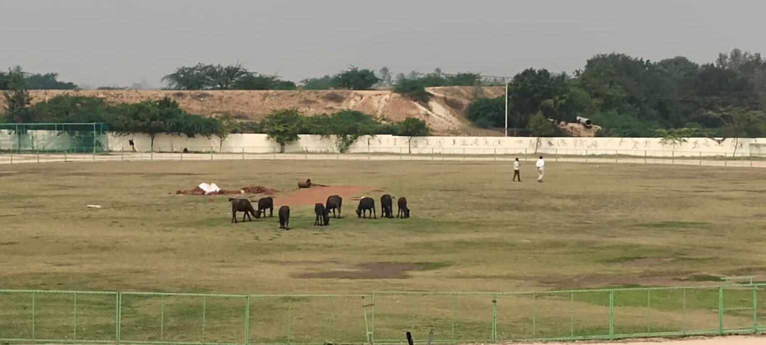 ದನ ಮೇಯುವ ತಾಣವಾದ ತಾಲೂಕಾ ಕ್ರೀಡಾಂಗಣ !