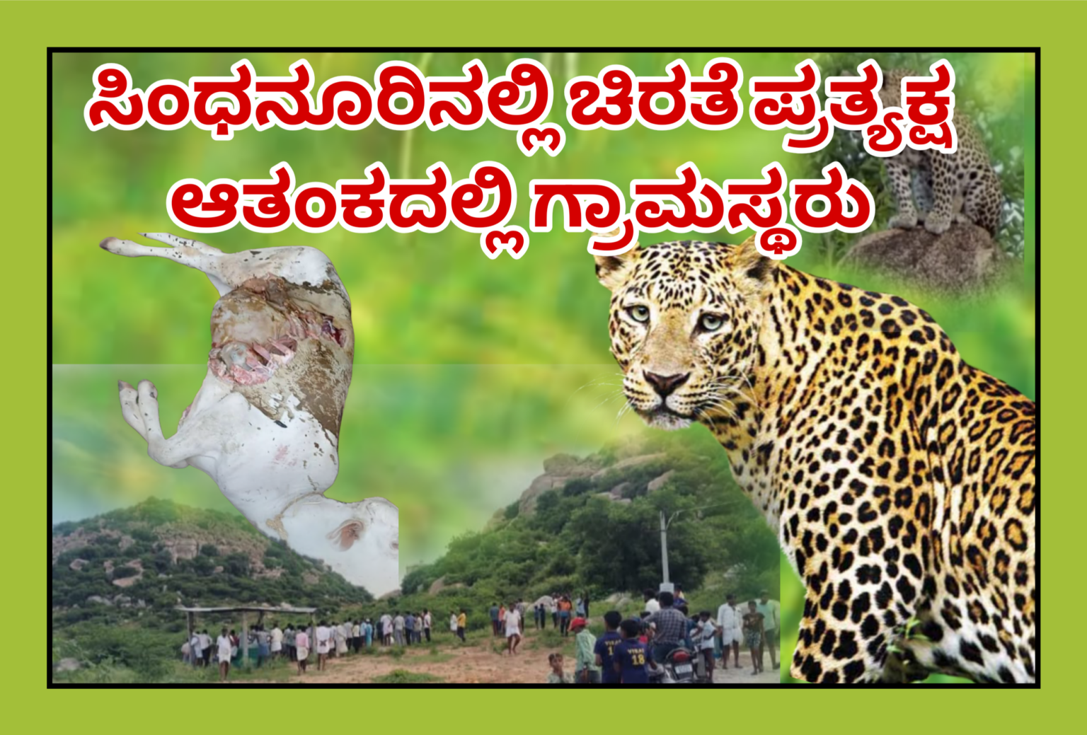 ಸಿಂಧನೂರಿನಲ್ಲಿ ಚಿರತೆ ಪ್ರತ್ಯಕ್ಷ, ಆತಂಕದಲ್ಲಿ ಗ್ರಾಮಸ್ಥರು