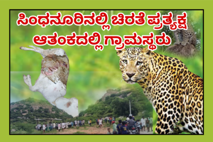 ಸಿಂಧನೂರಿನಲ್ಲಿ ಚಿರತೆ ಪ್ರತ್ಯಕ್ಷ, ಆತಂಕದಲ್ಲಿ ಗ್ರಾಮಸ್ಥರು